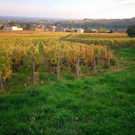 La Bulle Beaujolaise Julienas