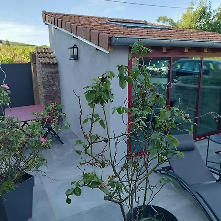 La Bulle Beaujolaise Apartment Julienas